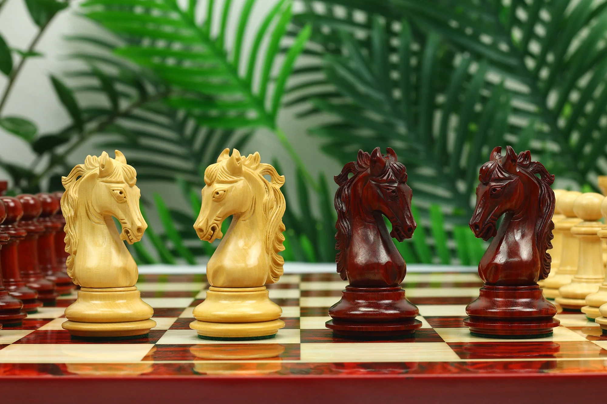 Danum Series 4.4" Premium Staunton Chess Set in Boxwood & Blood Rosewood - Image 14