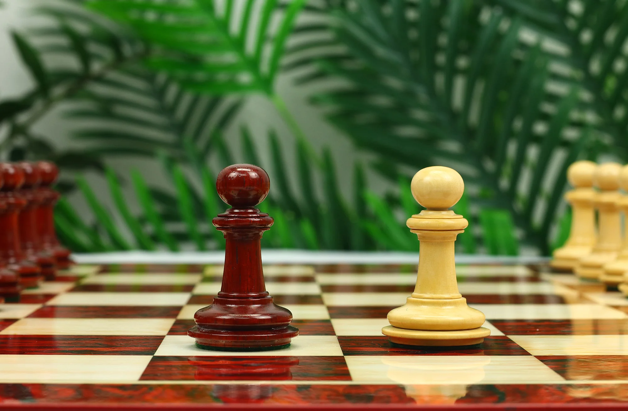 Danum Series 4.4" Premium Staunton Chess Set in Boxwood & Blood Rosewood - Image 16