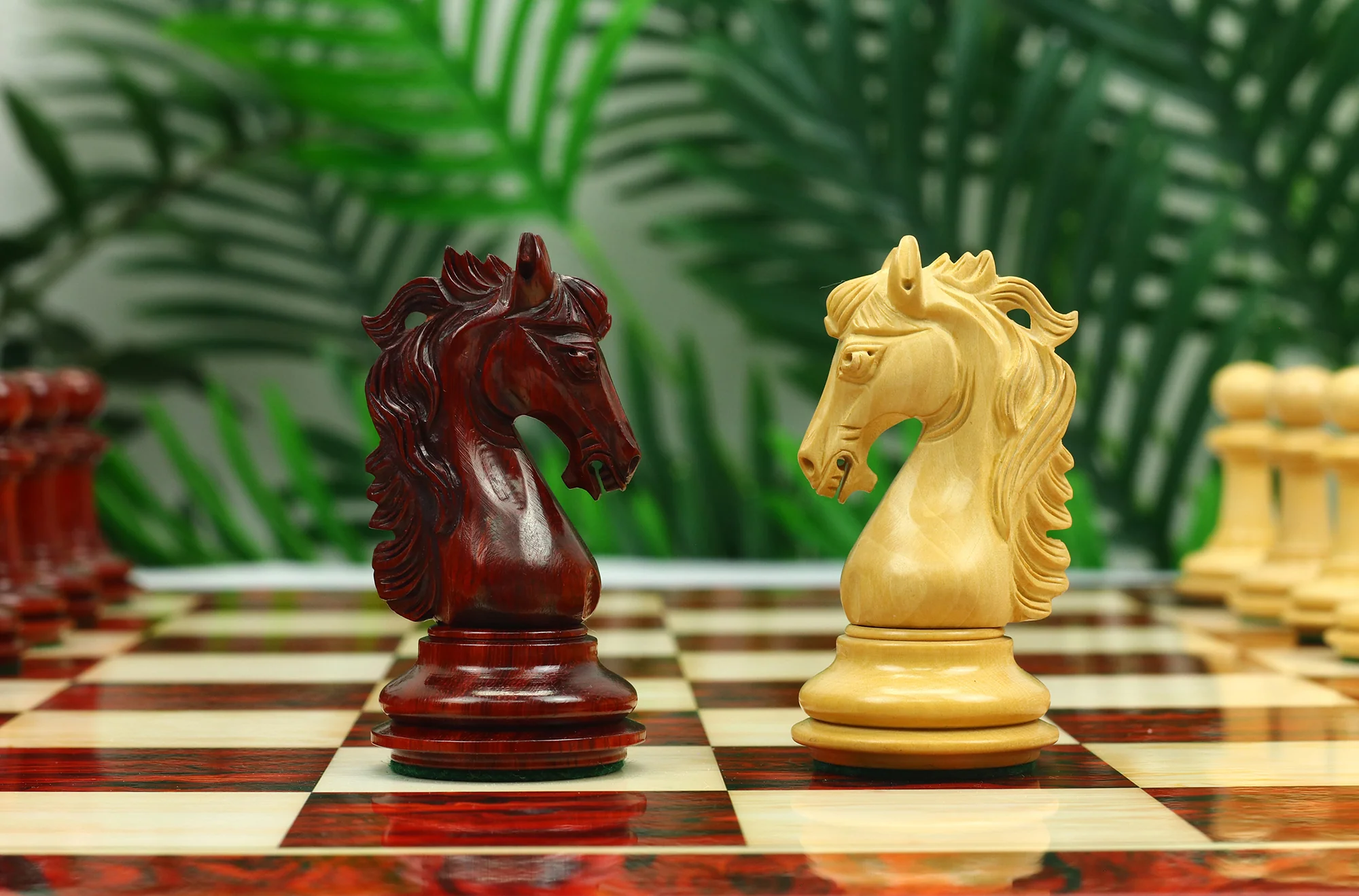 Danum Series 4.4" Premium Staunton Chess Set in Boxwood & Blood Rosewood - Image 27