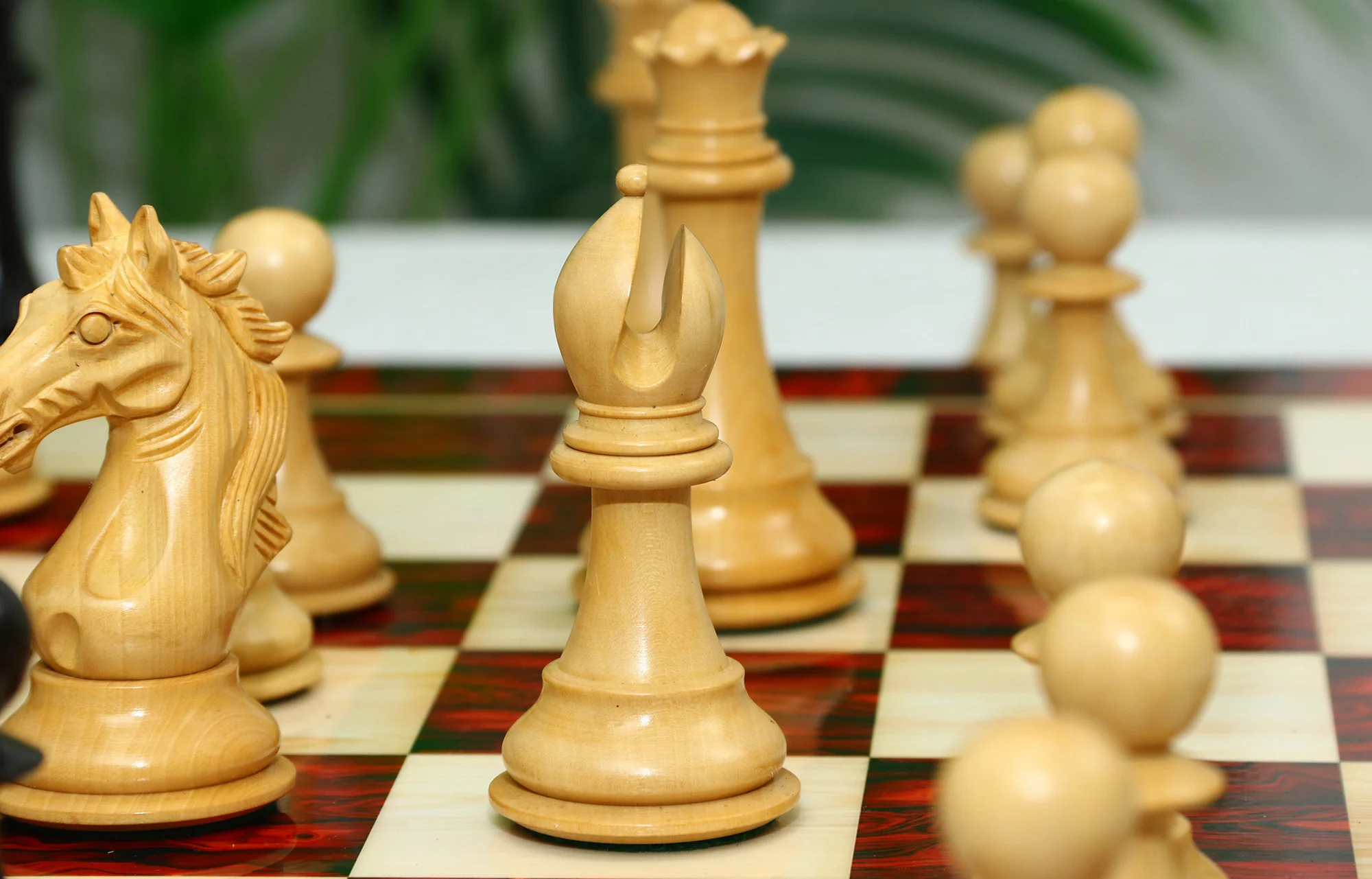Elite Series 4.25" Luxury Staunton Chess set in Ebony/Boxwood - Image 14