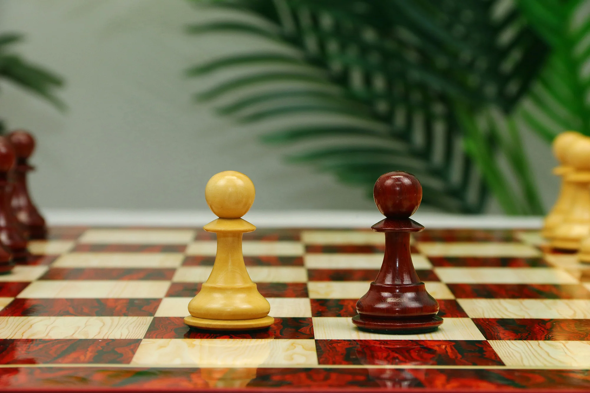 Elite Series 4.25" Luxury  Staunton Chess set in African Padouk & Boxwood - Image 15